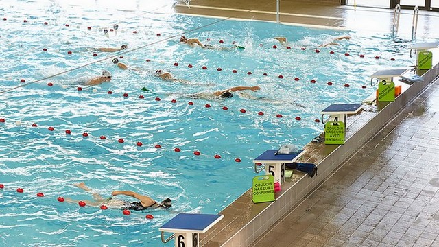 Animation pédagogique en EPS à partir d’une photographie d’un bassin de natation.…